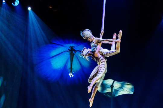 Cirque du Soleil